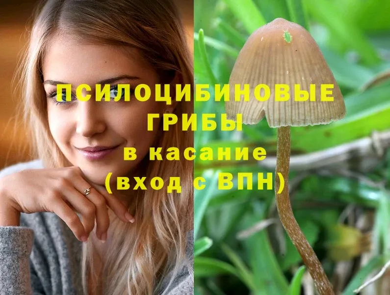 Псилоцибиновые грибы MAGIC MUSHROOMS  Нестеров 